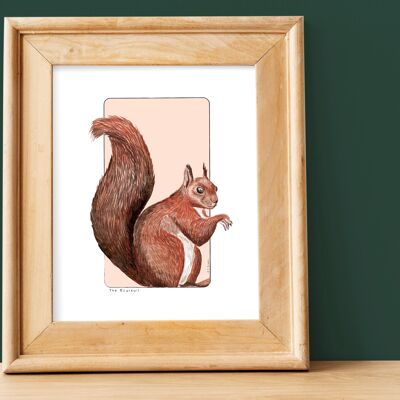 Watercolor paper poster - Squirrel