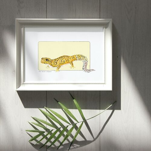 Carte postale & Affiche papier aquarelle - Gecko Léopard - Décoration murale - Illustration nature et animaux - Tirage d'art peinture
