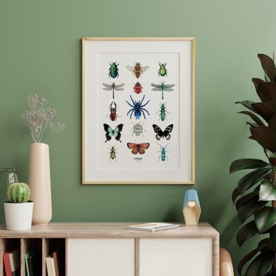 Cartel de tablero de insectos de acuarela - Cartel entomológico - Gabinete de curiosidades - Decoración de pared - Impresión de arte - Tablero de dibujo