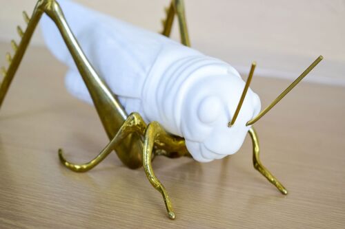 Decorative White Grasshopper