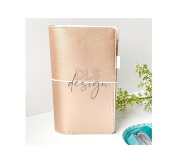 Story Journal Champagne (taille standard) 1