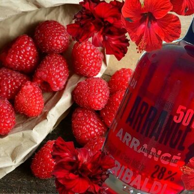 Arrangierter Rum Hibiskus - Himbeere l