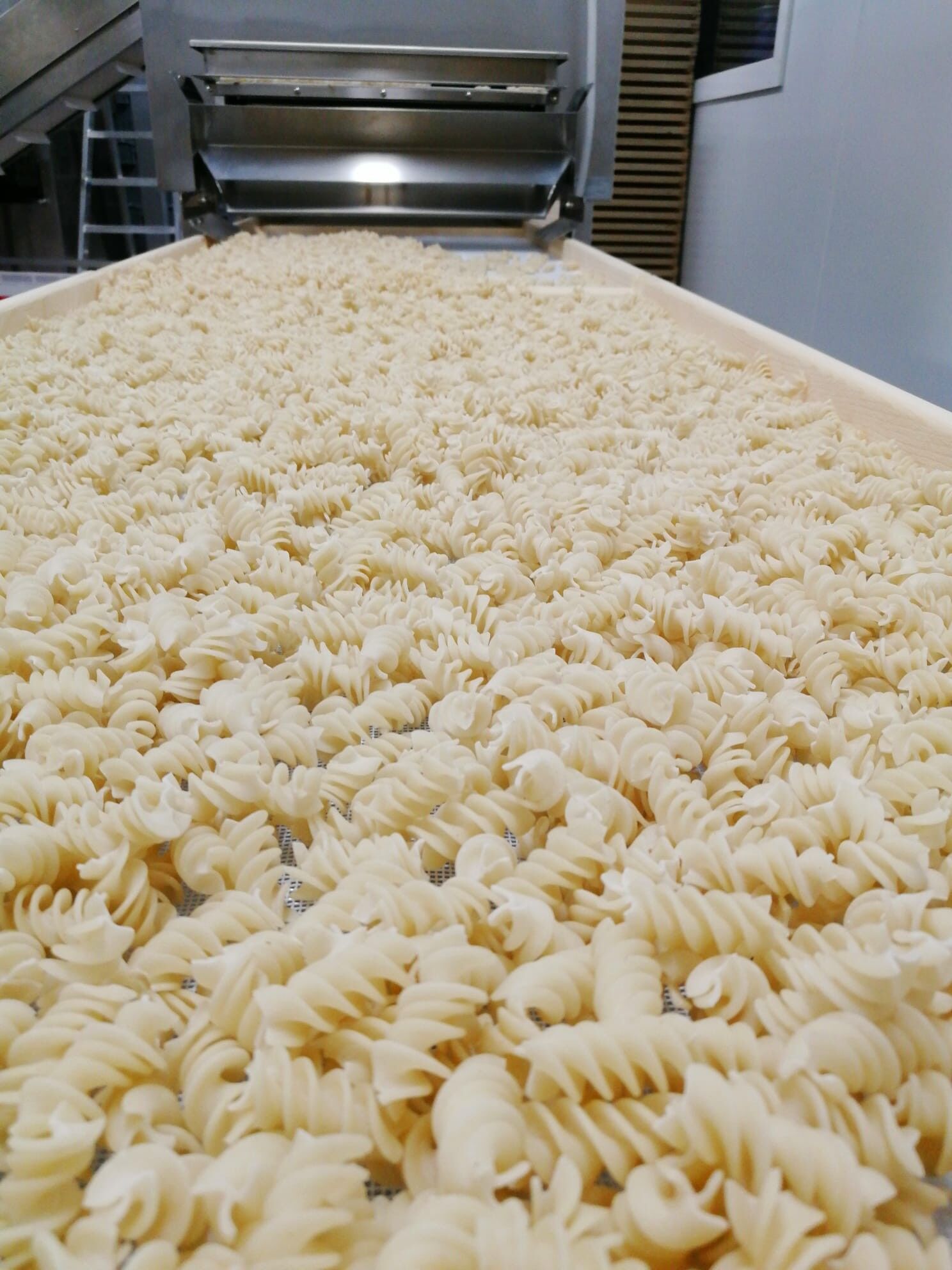 [100% Belge] VRAC Pâtes FRANGINES blés anciens (wallonie) - Fusilli BLANC - 3kg