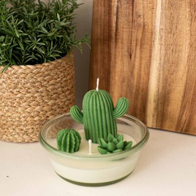 Decorative candle Cactus