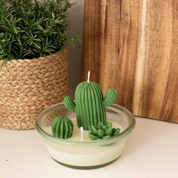 Bougie décorative Cactus 1