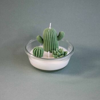 Bougie décorative Cactus 3