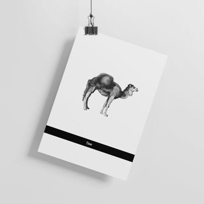 CAMEL - 'Camel Toe' - ART PRINT - A4 Print