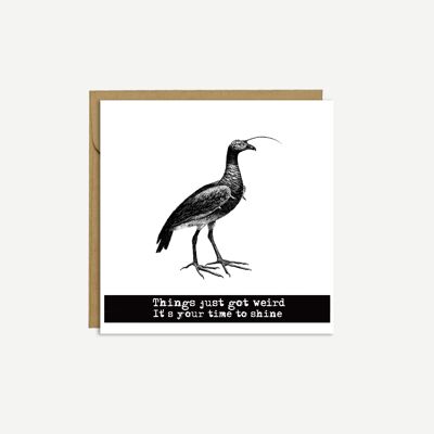 BIRD – „Things just got strange, it’s your time to shine“ Karte – Geburtstagskarte