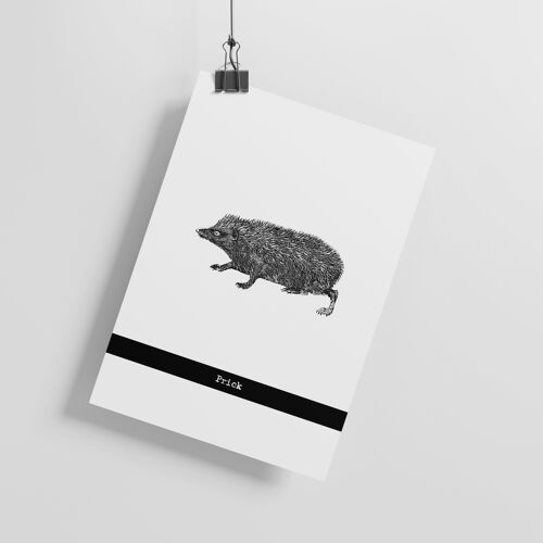 HEDGEHOG - 'Prick' - ART PRINT - A5 Print