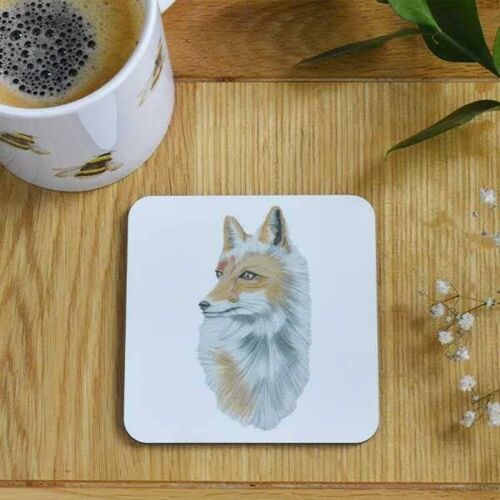 Fox Coaster