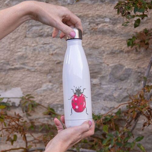 Ladybird Water Bottle