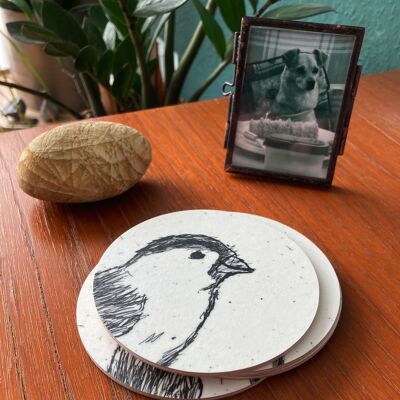 Set of 4 wooden coasters Sparrow