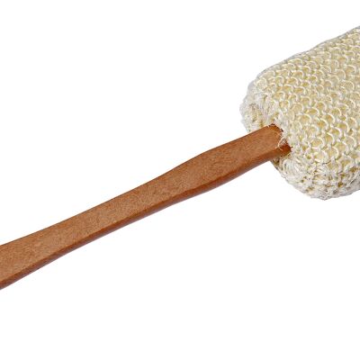 Brosse à plantes en luffa et sisal