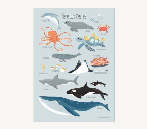 Tiere des Meeres, Poster - DIN A3