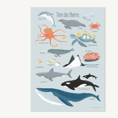 Animales del mar, cartel - DIN A3