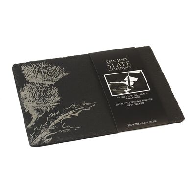 2 Slate Thistle Place Mats