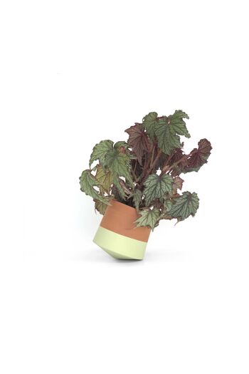 Voltasol Mini (Vert) - Pot / Jardinière 3