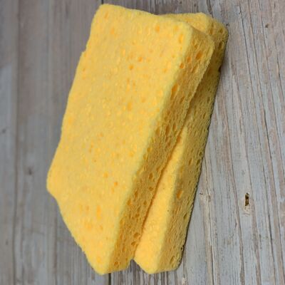 Multipurpose Compostable Sponge, Set of 2