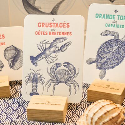 Test Pack: le 10 carte Letterpress Compagnie Maritime, mare, estate, Bretagna, pesce, blu, turchese, rosso, vintage, carta molto spessa, rilievo