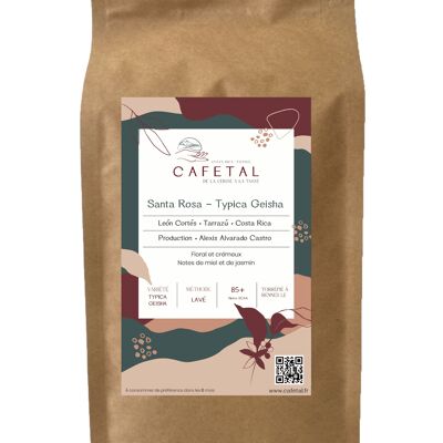 Santa Rosa Typica Geisha - 1Kg