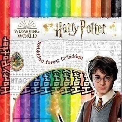 Maped - 12 lápices de colores de Harry Potter - En funda de cartón