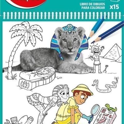 Coloring book x15 sheets, assorted colors