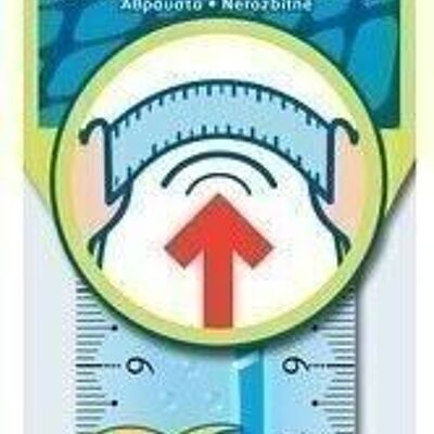 Righello graduato 15 cm - INFRANGIBILE