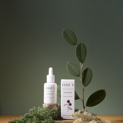 Fitoterapia de Bardana – Equilibrio y pureza de la piel