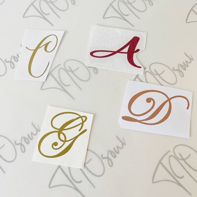 Single Letter Decal - choose your size , 8 Inch