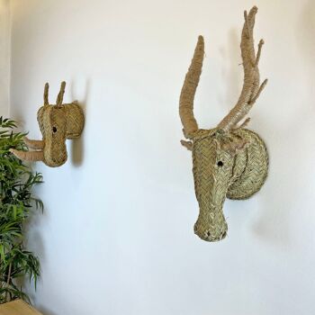 Tête de cerf en sparte (72 cm) 1