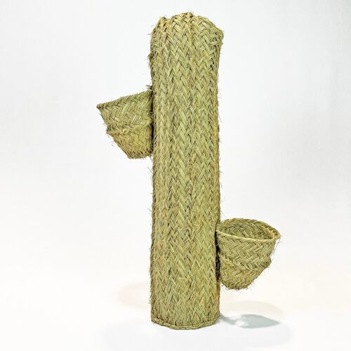 Cactus esparto maceteros (53 cm)