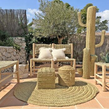 Pots de cactus en sparte (53 cm) 4