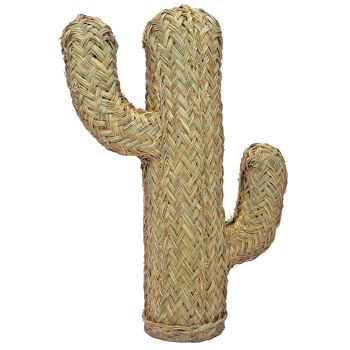 Cactus du Teide (35 cm) 3