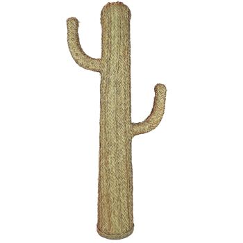 Cactus du Teide (70 cm) 2