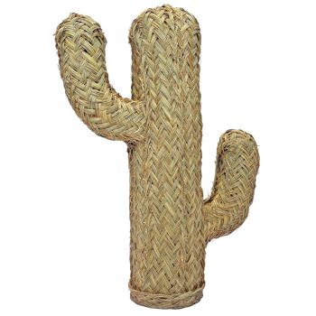 Cactus du Teide (70 cm) 3