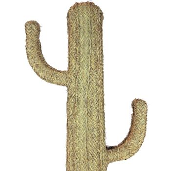 Cactus du Teide (70 cm) 6