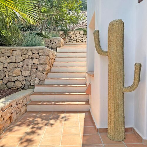 Cactus Teide (145 cm)