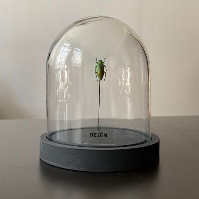 Mini insect bell
