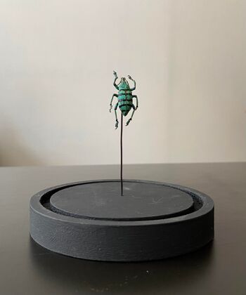 Mini cloche insecte 2