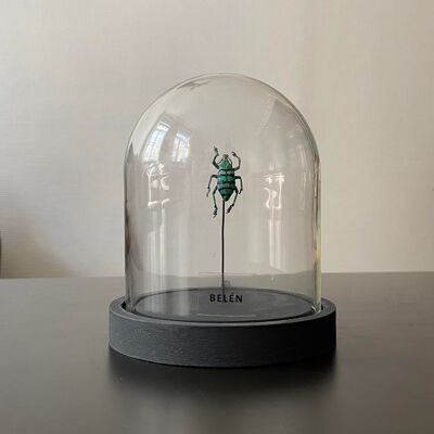 Mini insect bell