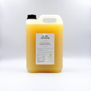 Vinaigre de Fleur de Sureau et Jus de Citron Vert 5L