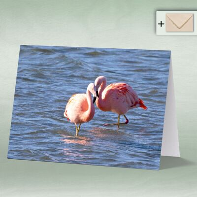 Greeting card, double card 8150