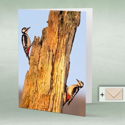 Greeting card, double card 8151