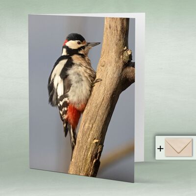 Greeting card, double card 8154