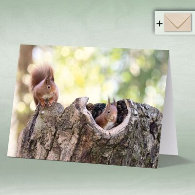 Greeting card, double card 8155