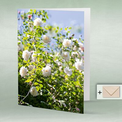 Greeting card, double card 8156