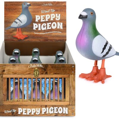 Peppy Pigeon zum Aufziehen