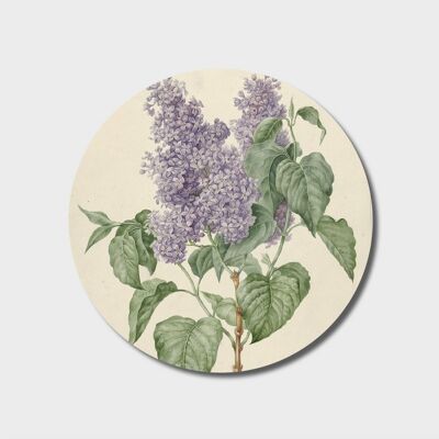 Wall Circle | Branch with purple lilacs