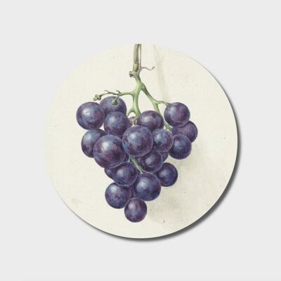 Círculo de pared | Racimo de uvas azules