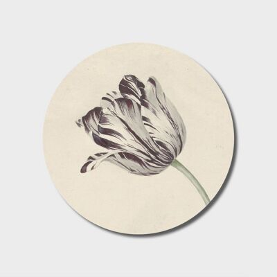 Cercle mural | Courbe de tulipe